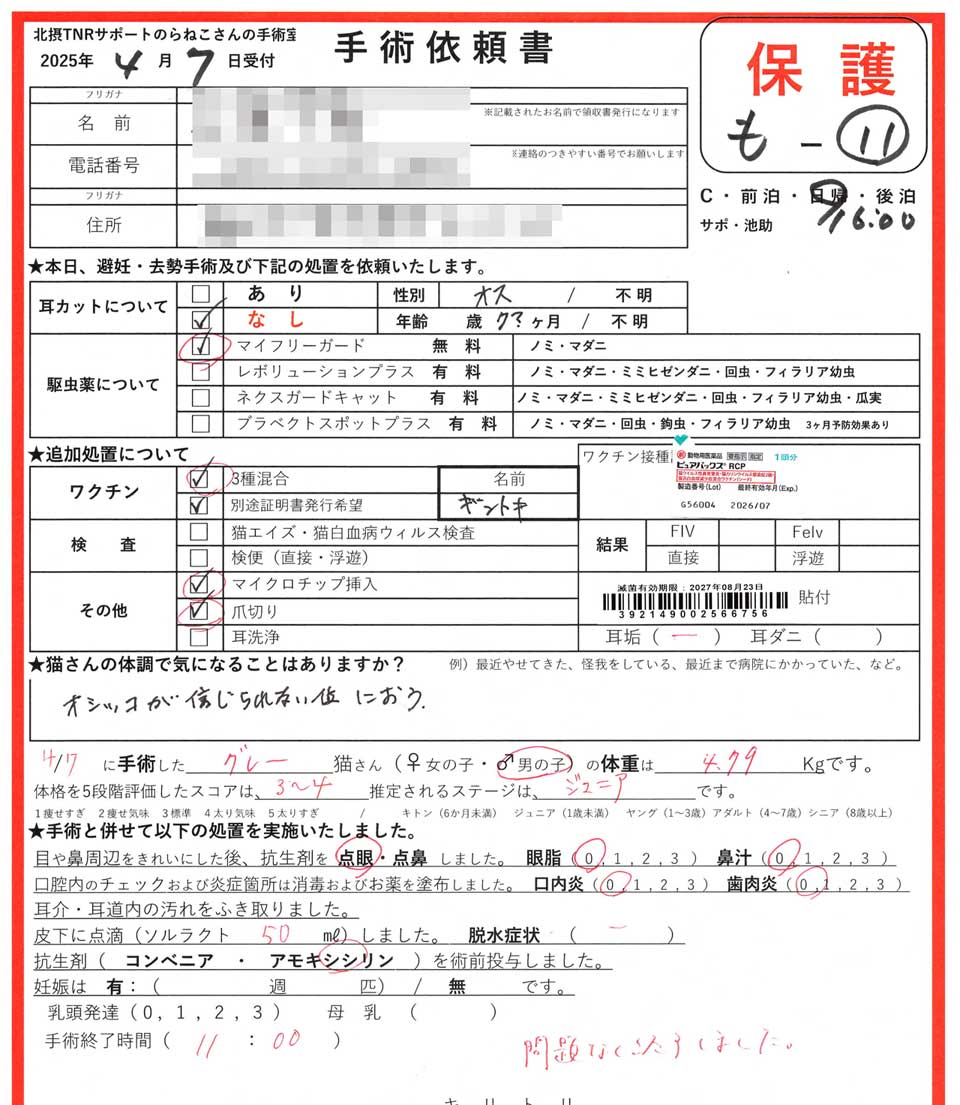 TNR No.030 ギントキの手術依頼書